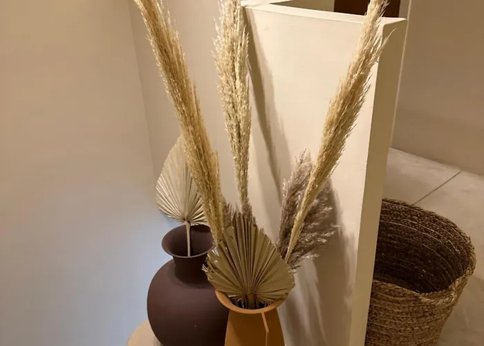 Bkn فيلة كانيه